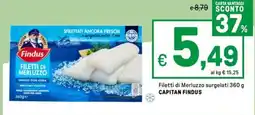 Iper La Grande Filetti di Merluzzo surgelati CAPITAN FINDUS offerta