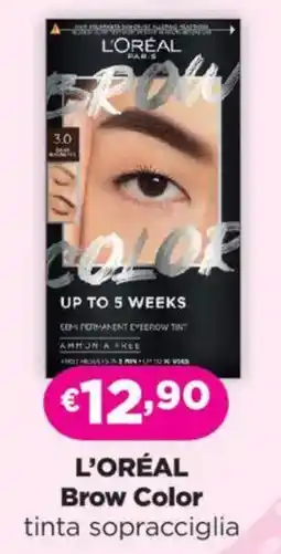 Acqua & Sapone L'ORÉAL Brow Color tinta sopracciglia offerta