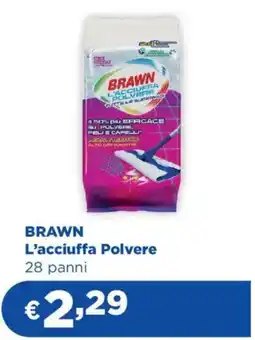 Acqua & Sapone BRAWN L'acciuffa Polvere offerta