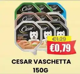 Pingo Market Cesar vaschetta offerta