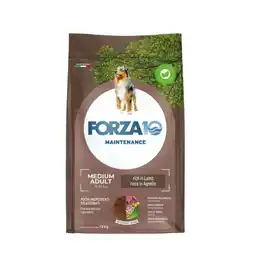 Ayoka FORZA 10 offerta