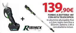 Kreo Brico e Casa Ribimex forbici a batteria 18v con asta telescopica offerta
