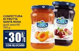 Il Gigante Confettura di frutta SANTA ROSA offerta