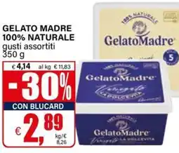 Il Gigante Gelato madre 100% naturale offerta