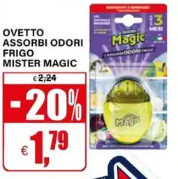 Il Gigante Ovetto assorbi odori frigo MISTER MAGIC offerta