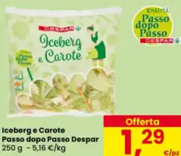 Eurospar Iceberg e Carote Passo dopo Passo Despar offerta