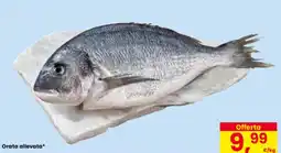 Eurospar Orata allevata offerta