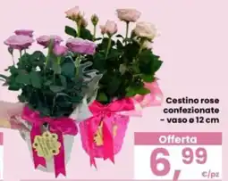 Eurospar Cestino rose confezionate offerta