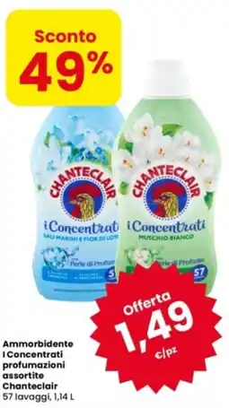 Eurospar Ammorbidente I Concentrati Chanteclair offerta