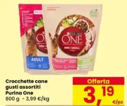 Eurospar Crocchette cane Purina One offerta