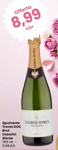 Despar Spumante Trento DOC Brut Cesarini Sforza offerta