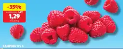 ALDI Lamponi offerta