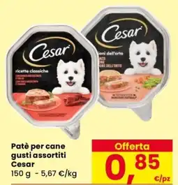 Despar Patè per cane Cesar offerta