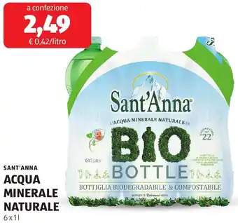 Sant'anna acqua minerale naturale 6 x 11