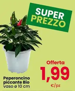 Interspar Peperoncino piccante Bio offerta