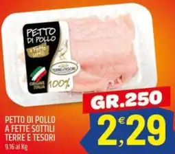 Ard Discount Petto di pollo a fette sottili TERRE E TESORI offerta