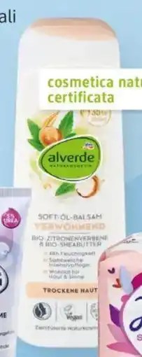 dm drogerie markt alverde crema corpo con oli naturali offerta