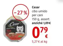 dm drogerie markt Cesar cibo umido per cani offerta