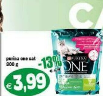Il Castoro Supermercati Cibo per gatti offerta