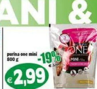 Il Castoro Supermercati Cibo per cani offerta
