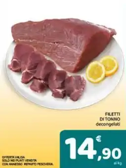 Conad Filetti di tonno offerta