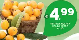 Extra Supermercati Nespole ruchey cal.gg extra al kg offerta