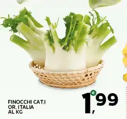 Extra Supermercati Finocchi cat.i or. italia al kg offerta