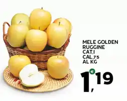 Extra Supermercati Mele golden ruggine offerta