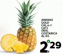 Extra Supermercati Ananas gold offerta