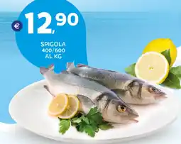 Extra Supermercati Spigola offerta