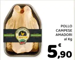 Conad POLLO CAMPESE AMADORI offerta