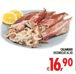Deco Supermercati Calamari decongelati al kg offerta