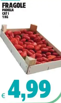 Eté Fragole padella cat i offerta