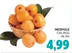 Eté Nespole cal rgg al kg offerta