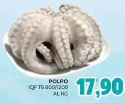 Eté POLPO IQF T6 800/1200 offerta