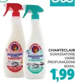 Eté Chanteclair sgrassatore offerta