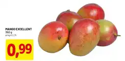 DPiù Mango excellent offerta