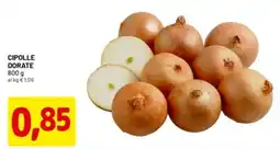 DPiù Cipolle dorate offerta