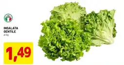 DPiù Insalata gentile offerta