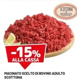 DPiù Macinato scelto di bovino adulto scottona offerta
