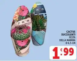 Deco Supermercati Cactus succulenti festa della mamma offerta