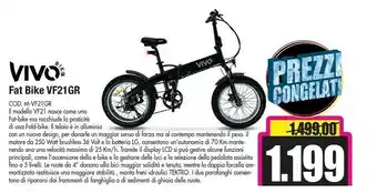 Fat bike vf21gr