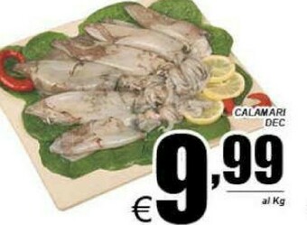 DEM Calamari offerta