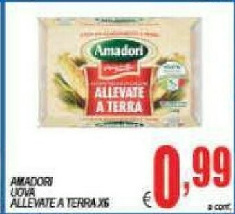 DEM Uova offerta