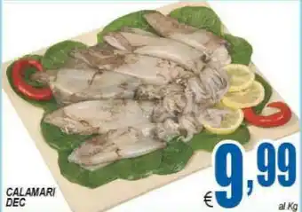 DEM Calamari offerta