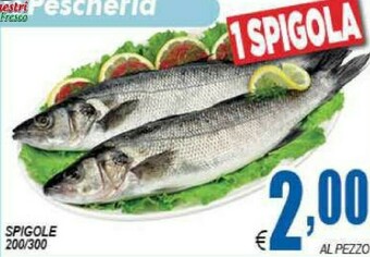 DEM Pesce offerta