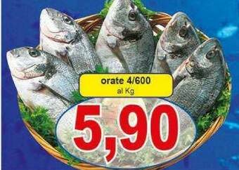 Pewex Orata offerta