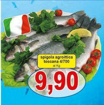 Pewex Orata offerta