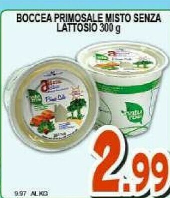 Sacoph Mozzarella offerta