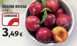 Coop Susine rosse offerta